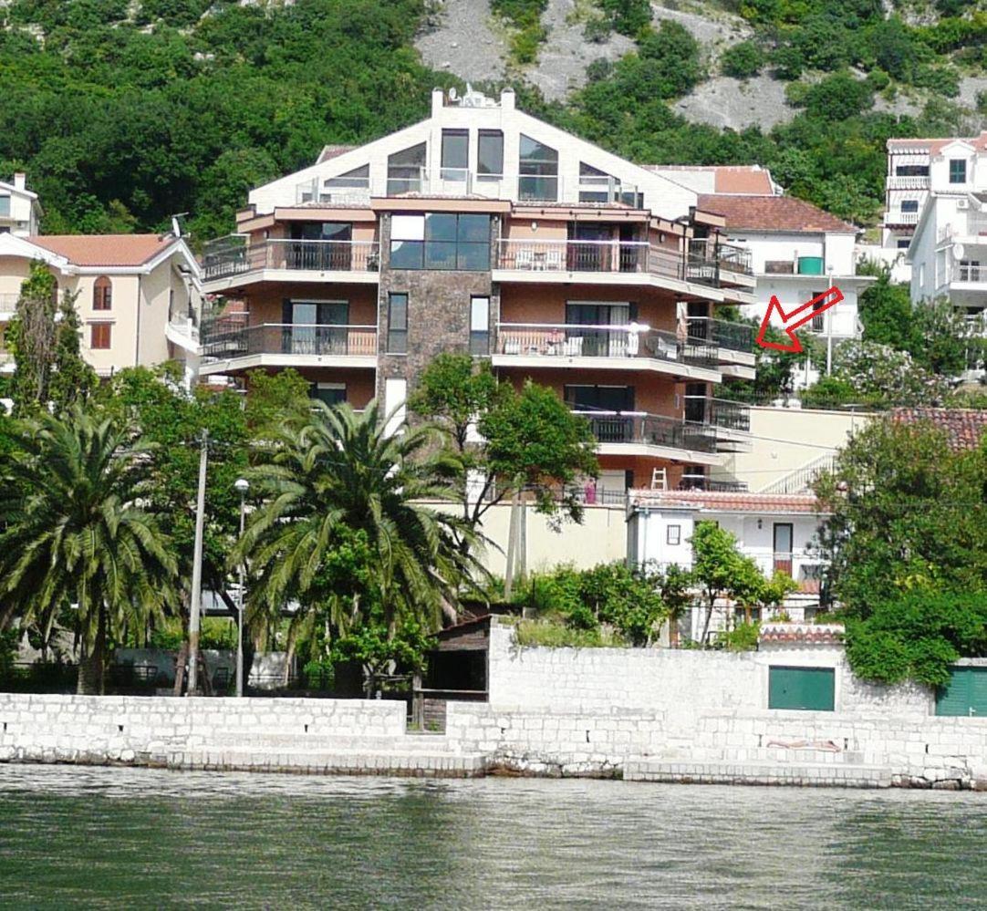 Apartments Coral Kotor Dış mekan fotoğraf